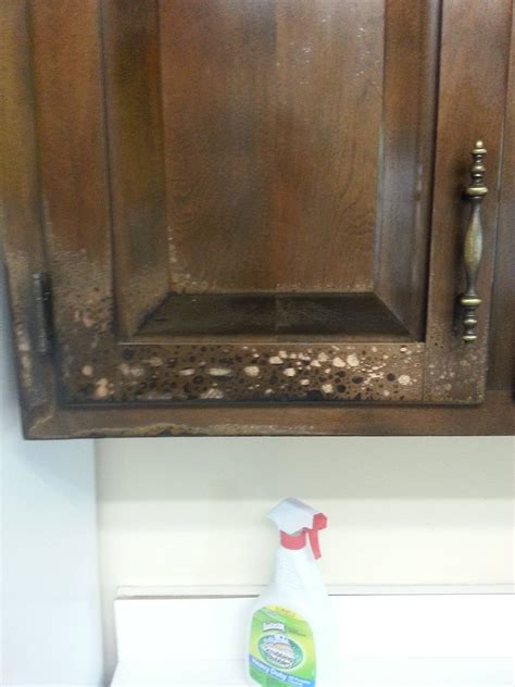 How to repair solid wood cabinet finish after fire? - Home Improvement Stack Exchange