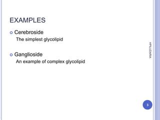 Functions of glycolipid | PPT