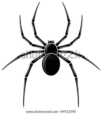 Spider Stock Vector Illustration 84922390 : Shutterstock