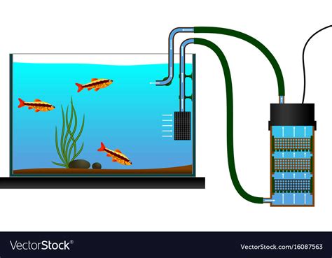 Aquarium equipment Royalty Free Vector Image - VectorStock