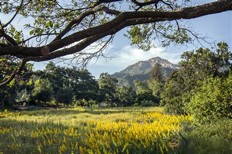 Santa Barbara Botanic Garden - Van Atta Associates - Santa Barbara ...