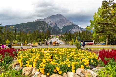 Spring in Canada: Destinations & Travel Tips - Canada Crossroads