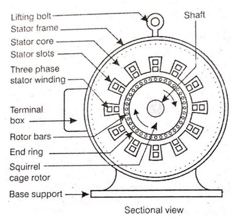 Three Phase Induction Motor || Construction & Working Principle