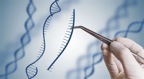 Genetic Engineering Made Simple | DNA Diagnostics Centre