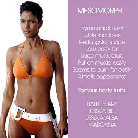 ectomorph/mesomorph workout - Google Search Mesomorph Body Type ...