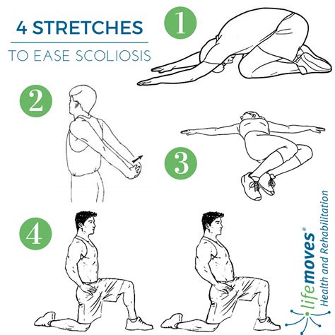 Top Scoliosis Stretches and Exercises to Maintain Mobility | Lifemoves