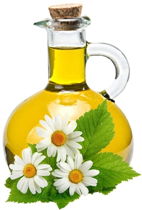 Chamomile Oil - Salem Botanicals