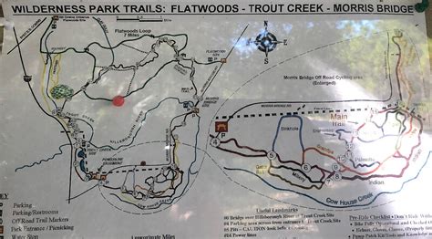 Flatwoods Park, Lower Hillsborough Wilderness Preserve – Florida Hikes