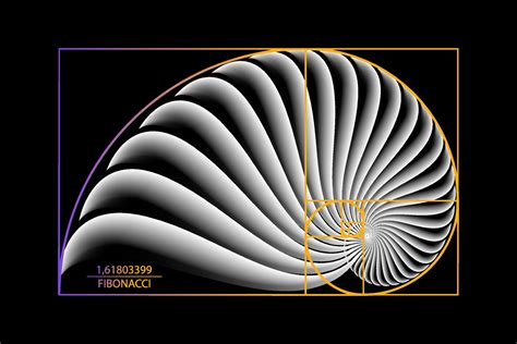 Fibonacci Sequence Golden ratio. Geometric shapes spiral. Snail spiral ...