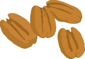 Free Pecan Cliparts, Download Free Pecan Cliparts png images, Free ClipArts on Clipart Library