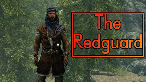 Skyrim Builds- The Redguard - Dual Wielder - YouTube