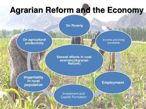 Comprehensive Agrarian Reform Program