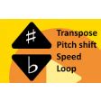 Transpose pitch speed loop for videos Google Chrome 용 - 확장 프로그램 다운로드