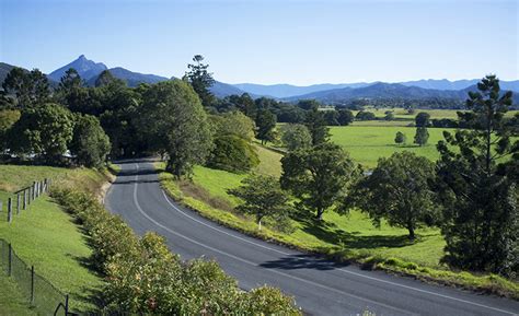 Gold Coast hinterland drive | RACQ