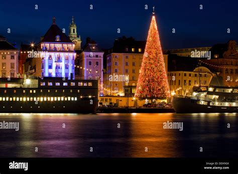 Christmas tree in Stockholm Stock Photo - Alamy