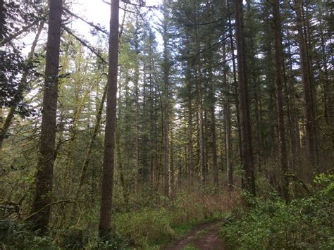 Washougal River State Park – Jim's Trails