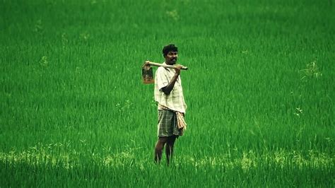 Employment rate in rural India falls up to 8.4% in August