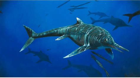 Rare 200 million-year-old ichthyosaur species discovered