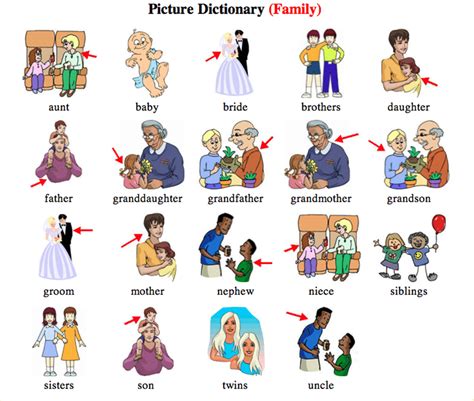 English Vocabulary: Family Members and Different Types of Family - ESLBUZZ