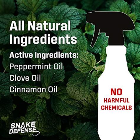 Exterminators Choice Snake Defense Spray | 1 Gallon | Natural, Non-Toxic Snake Repellent | Quick ...