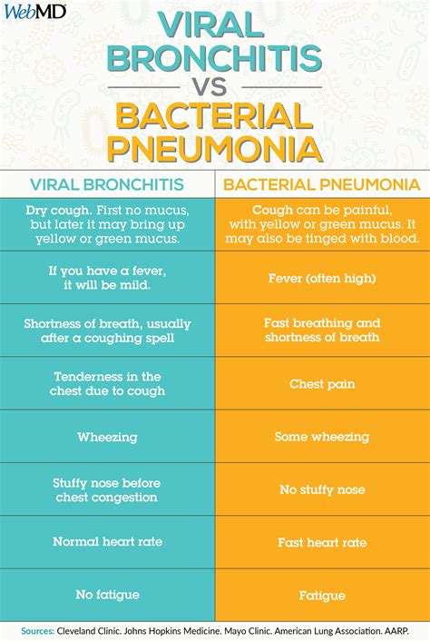 Understanding the Differences Between Bronchitis and Pneumonia