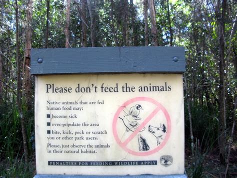 Korsmans Landing Camping Area - Myall Lakes National Park Don't feed animals