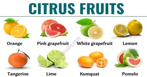 Citrus Fruits: List of 15+ Citrus Fruits with ESL Picture and Example ...