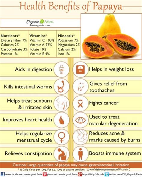 Papaya Fruit Juice Benefits - health benefits