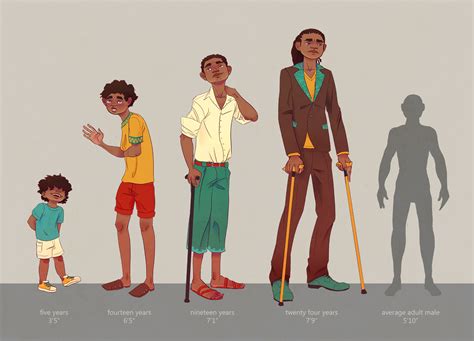 ArtStation - Character Age and Height Progression