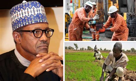 Top 5 Sectors Contribute Over N47 Trillion to Nigeria's Economy - Legit.ng