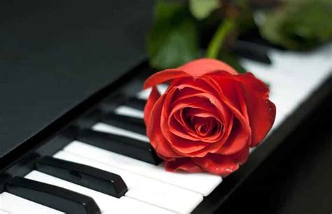 7 Soft and Relax Piano Music You Should Listen To - CMUSE