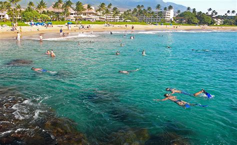 Snorkeling Black Rock On Ka'anapali Beach - See Fish Safely