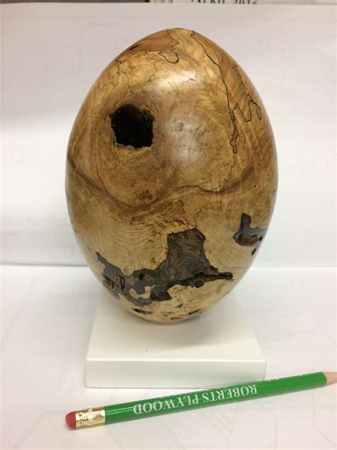 Rotten Egg | American Association of Woodturners