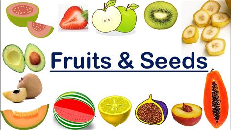 What Fruit Has The Most Seeds? The 6 Correct Answer - Barkmanoil.com