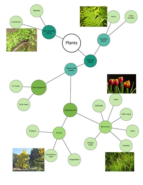 What Is a Cluster Diagram? | Lucidchart Blog