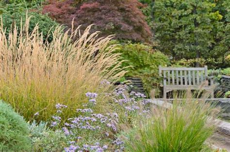 Best Ornamental Grasses and Foliage Plants for Gardeners in New England