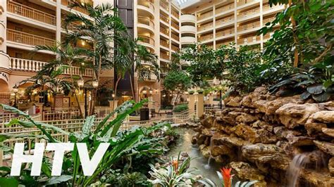 Hotel Embassy Suites by Hilton Orlando International Drive Convention Center - YouTube