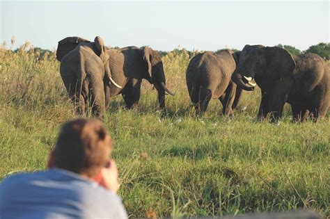 Inside Zimbabwe’s Mana Pools National Park • Your Ultimate Safari Guide ...