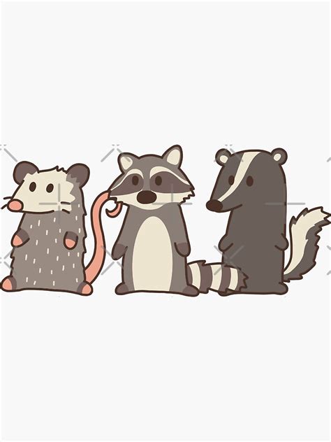 "raccoon, opossum & skunk woodland friends" Sticker for Sale by sivelobanova | Redbubble