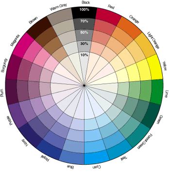 Color Wheel: A Guide to Makeup and Eye Color