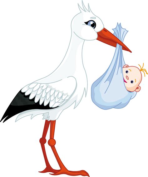 Stork PNG Transparent Images