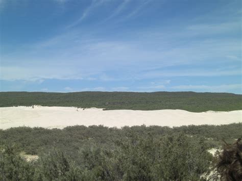 Sand Dunes that make up Fraser Island, Australia | Fraser island ...