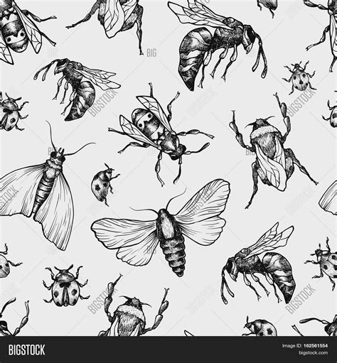 Insects Pattern Vector & Photo (Free Trial) | Bigstock