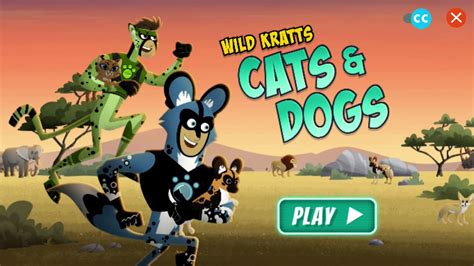 Wild Kratts: Cats and Dogs || Wild Kratts Games - YouTube