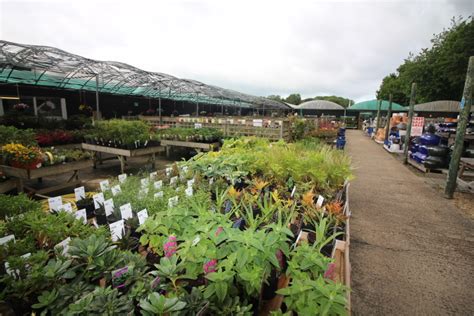 Mill Race Garden Centre in Colchester goes up for sale | Horticulture Week