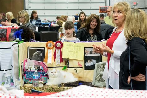 66th Annual Cat Show: A Photo Gallery For All The Cat Lovers Out There | Cincinnati Refined