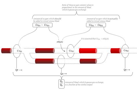 Measurement and estimation of shunt | Deranged Physiology