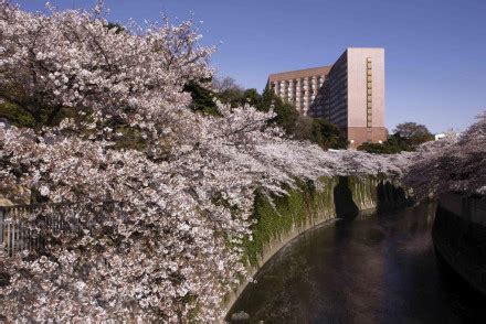 The Best Hotels in Shinjuku, Tokyo | The Hotel Guru