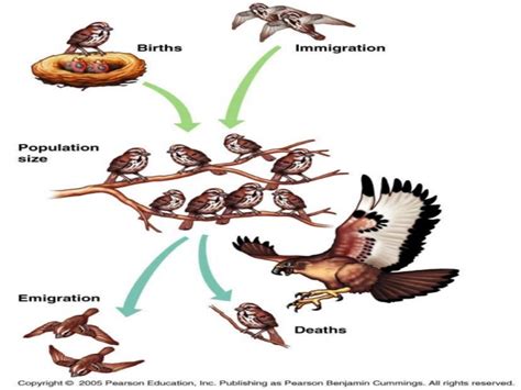 Population ecology