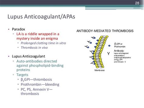 Serum LAC (Lupus Anticoagulant)